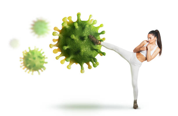 How the Immune System Fights Viruses