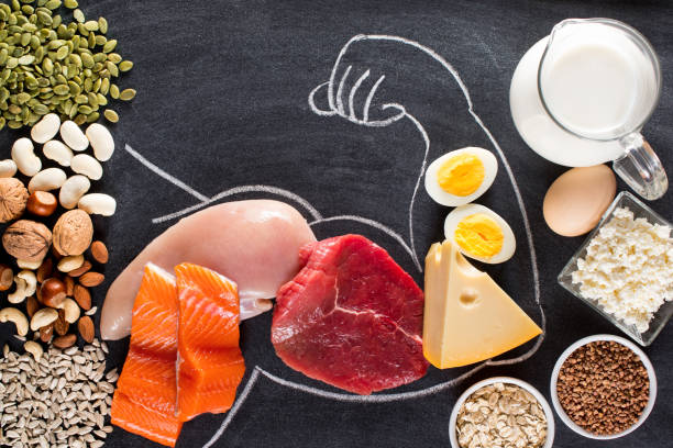 The Importance of Protein in Our Body's Health