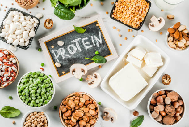 Protein: The Key to a Healthy Body