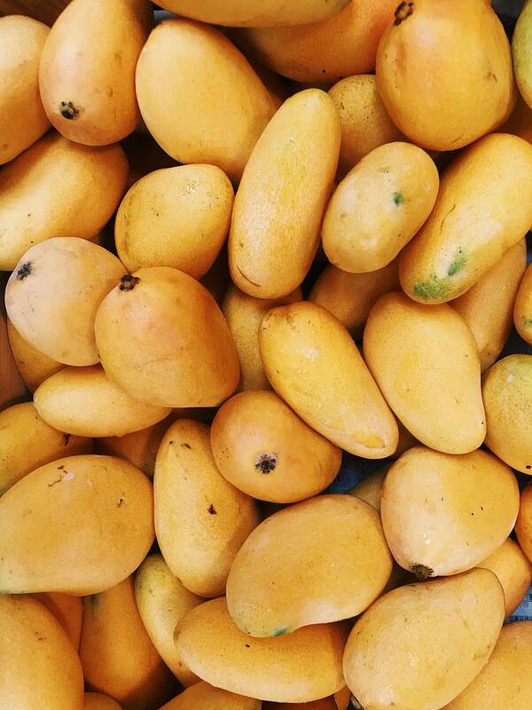Mango: The King of Fruits